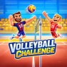 Volleyball Challenge